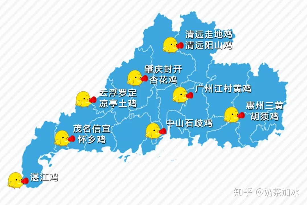 各种宴席上要有鸡,就连拜神也必须用鸡,甚至广东的地图都是鸡腿的形状