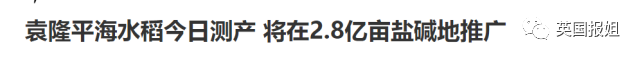 袁隆平：一次次的突破，却换来一句"吃饱了撑的" - 知乎