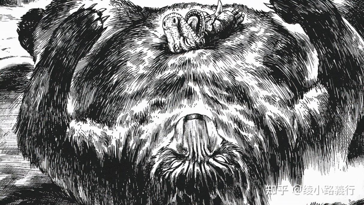 画王上的小恐龙阿贡白垩纪的小恐龙到底是如何生存的