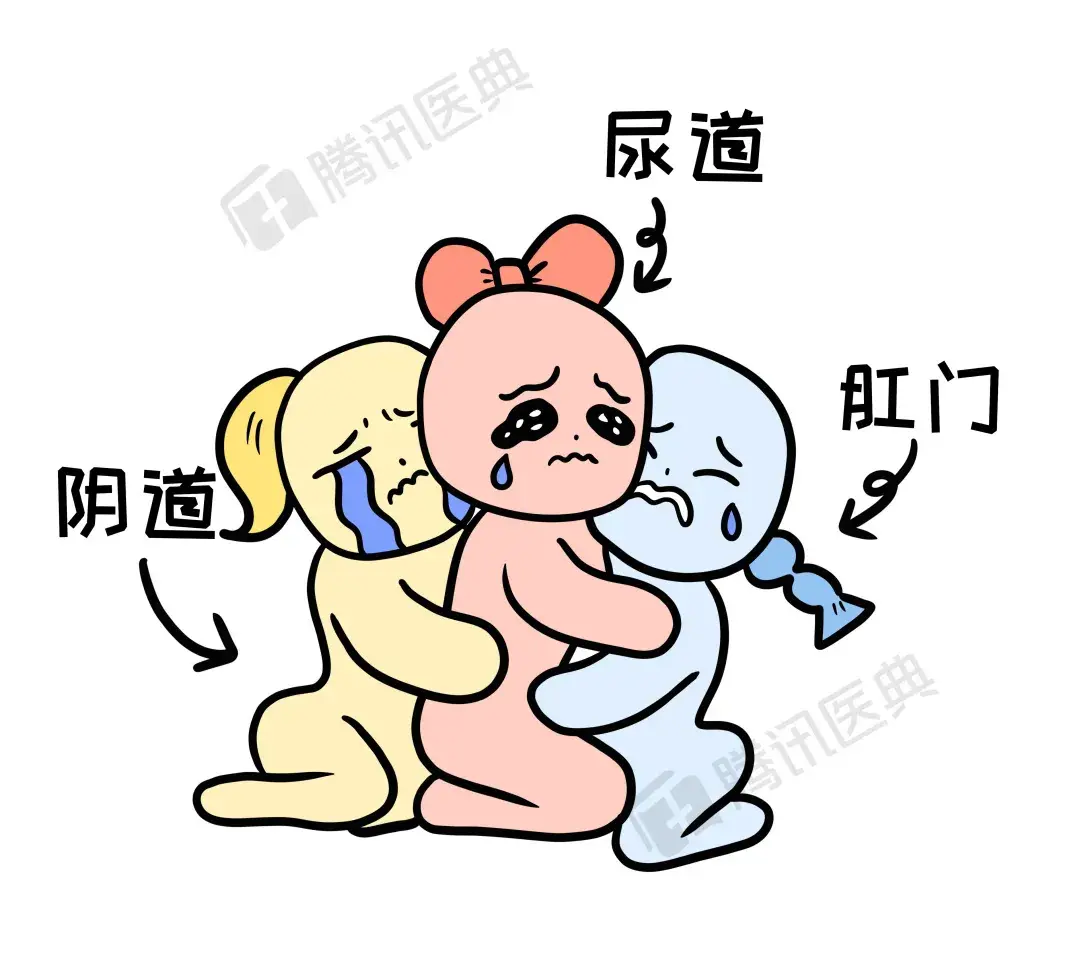 尿道宽,直,短这是一种女生最常见的尿路感染很有可能是"蜜月性膀胱炎"
