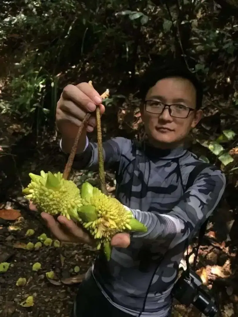 穿越全世界尝遍上千种水果他成了百度第一知识网红