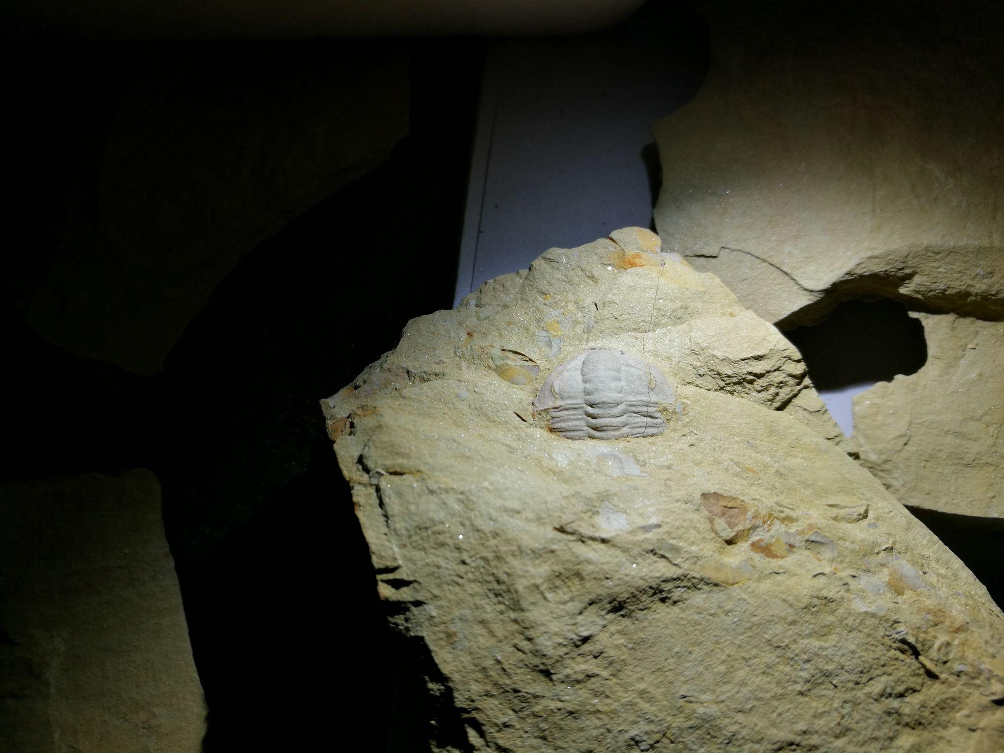 瓮安县GDP_瓮安县九中校园图片(3)