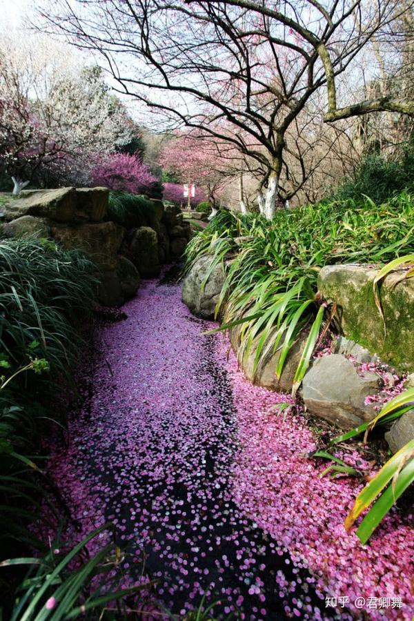 落花流水是什么季节