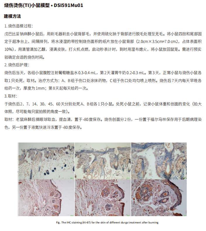 特应性皮炎机制研究新发现 - 知乎