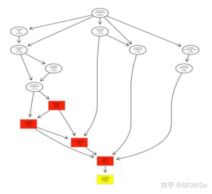 基本概念利用go数据库中的基因注释信息进行基因富集分析.