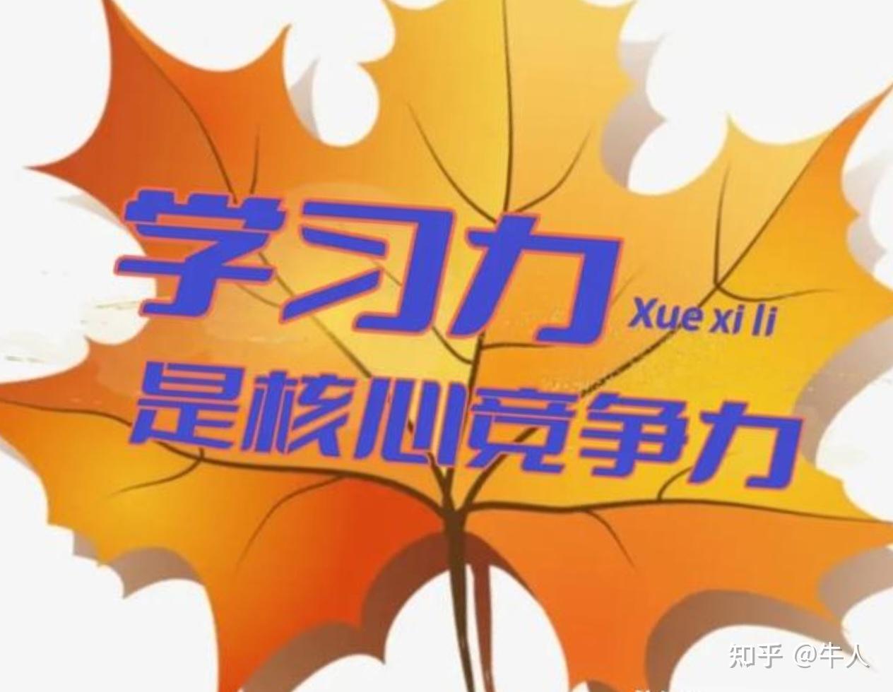 学习力的本质是什么? - 知乎