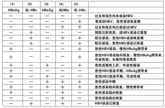 乙肝病毒携带者的寿命图片