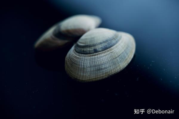 尼康z24120 随意评测 知乎