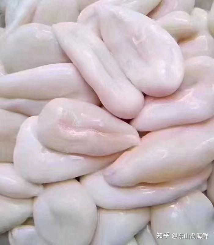 东山岛海鲜新鲜现取的墨鱼蛋宫廷御品皇帝特供