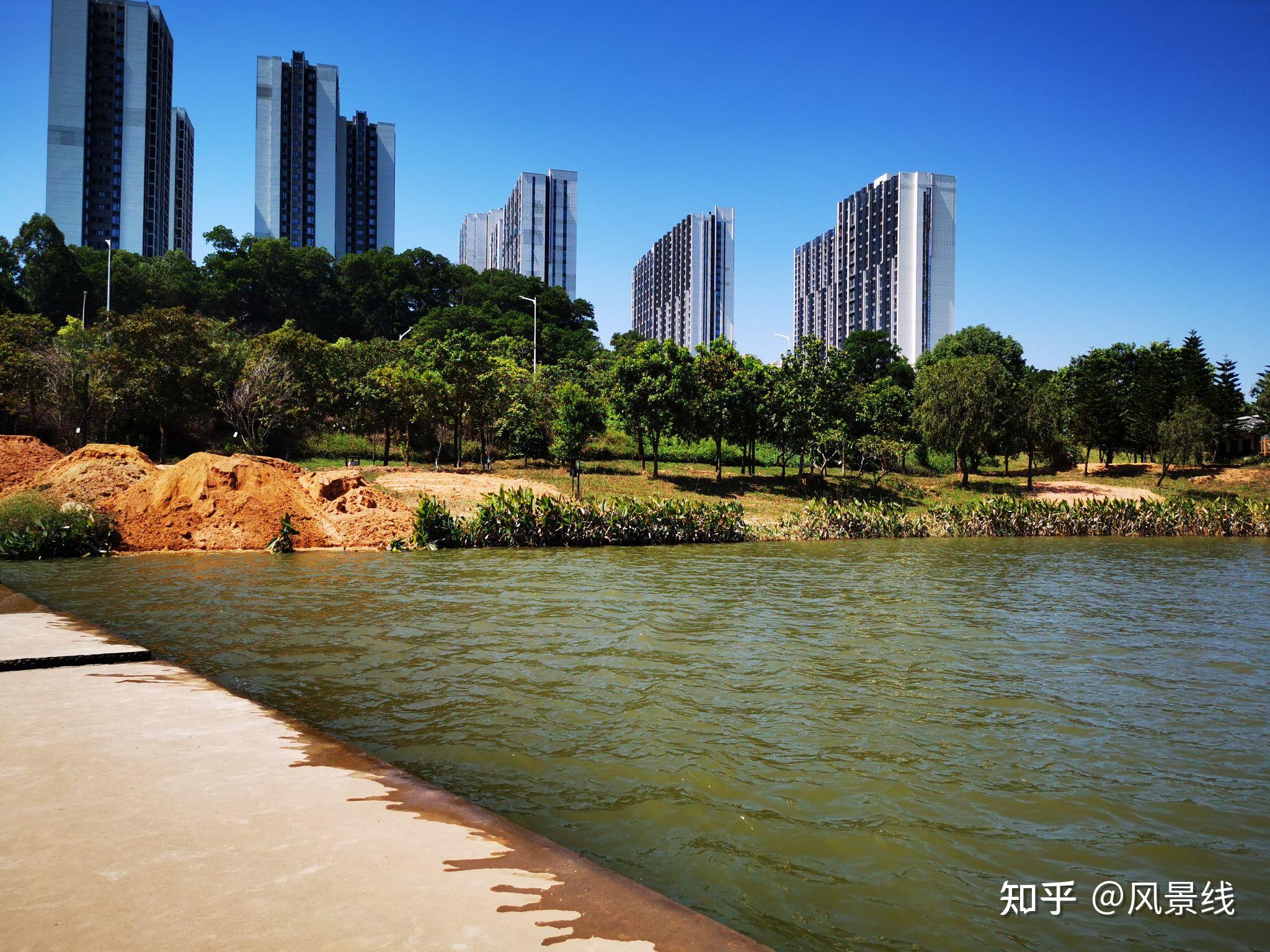 平岗河合景段西岸开始绿化了 - 知乎