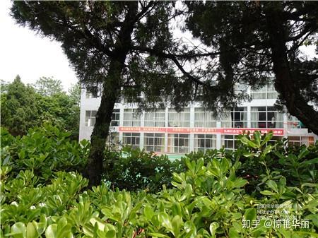 岳阳服装学校迎来了热情似火的夏季