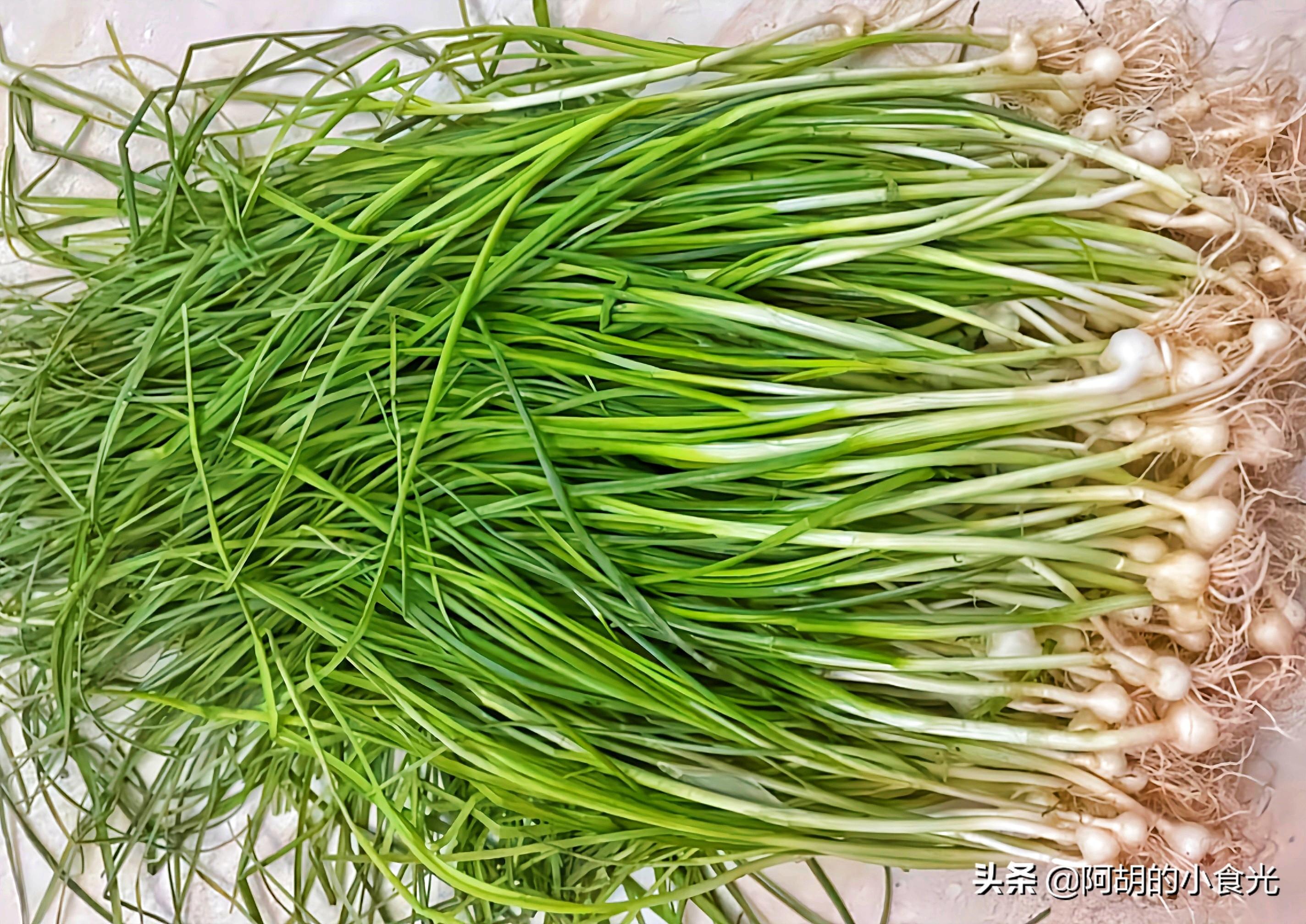 野葱:野菜界的调味“灵魂”!包饺子,腌制都是一绝,抓紧吃 - 知乎