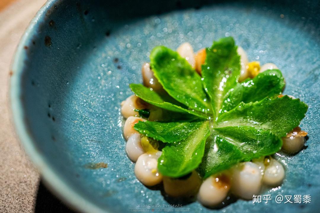 Noma 2.0丨在世界最佳餐厅吃饭是一种怎样的体验? - 知乎