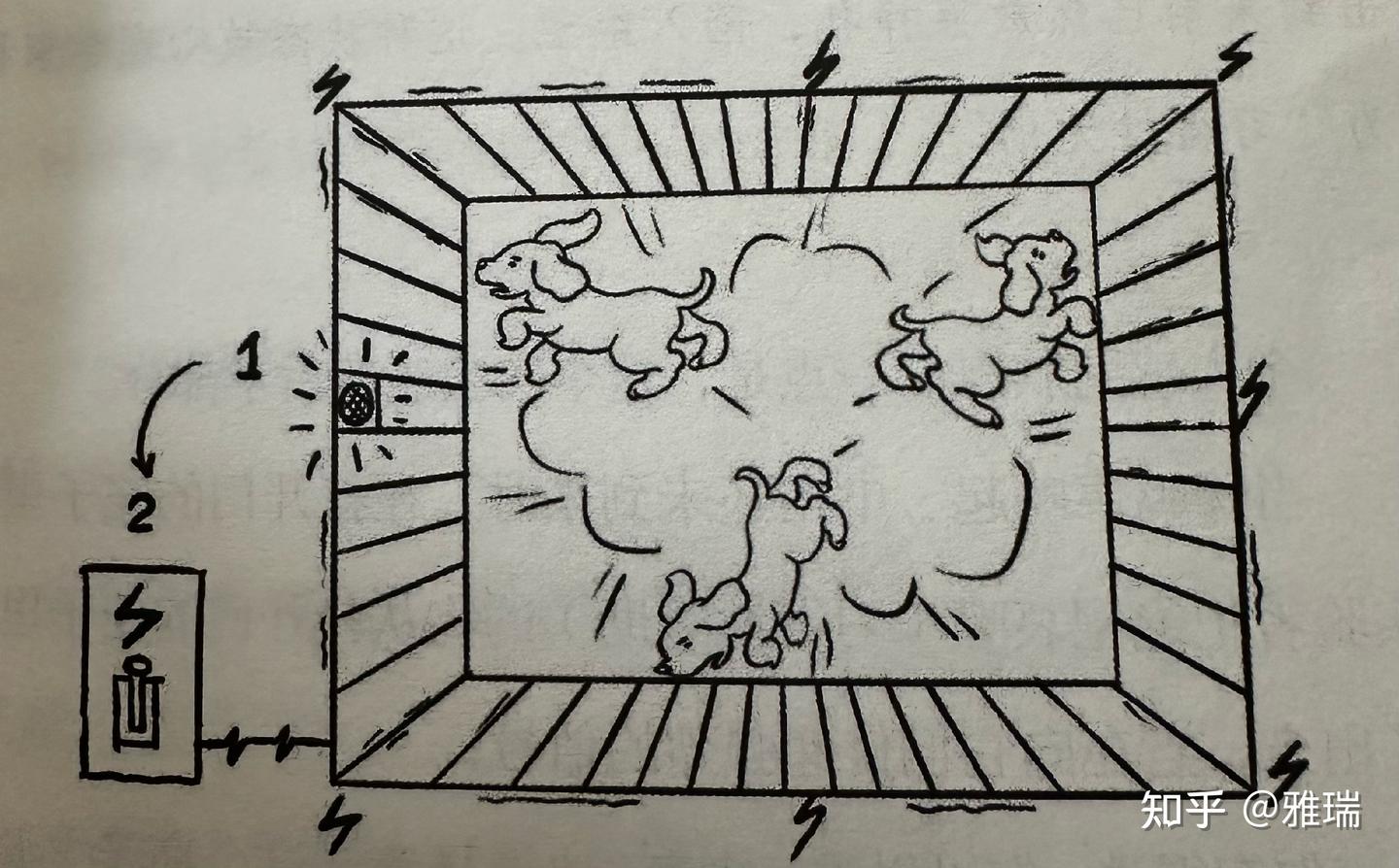 有关狗的实验告诉我们什么叫“习得性无助” - 知乎