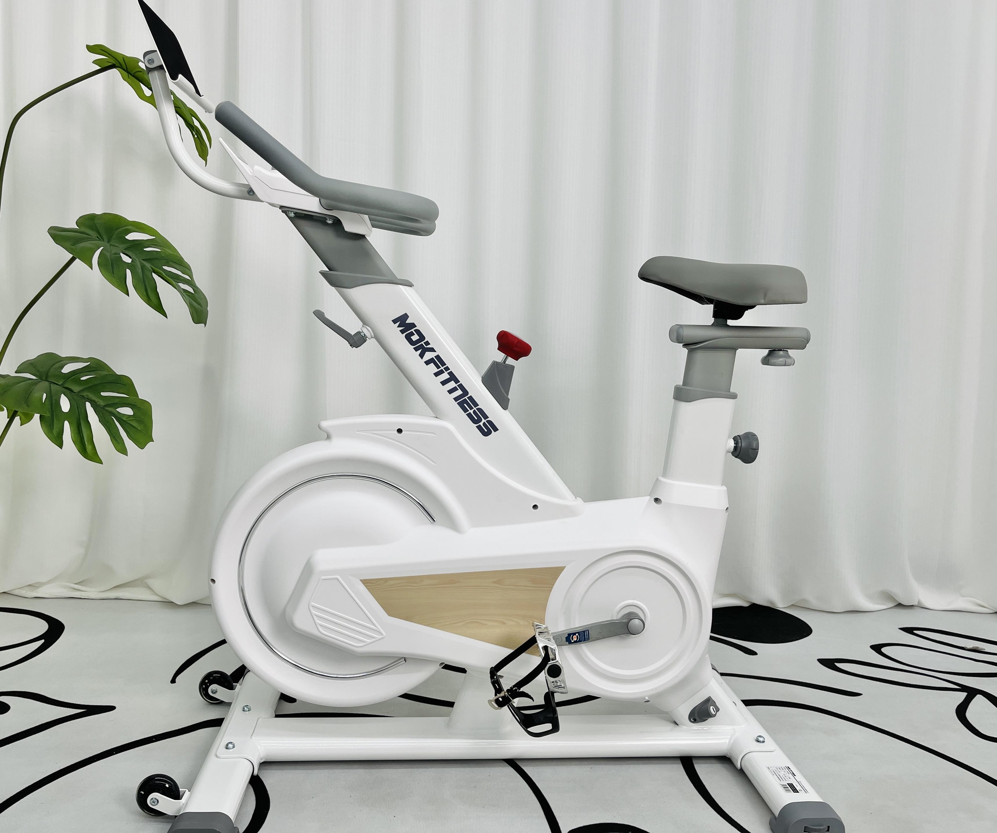 探索家庭化健身新方向mok新品s10零跃动感单车上线