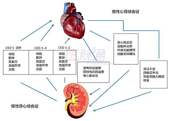 (心血管跟肾脏有很强关联)说到底,也就是说,虽然阳痿跟肾脏病有千丝