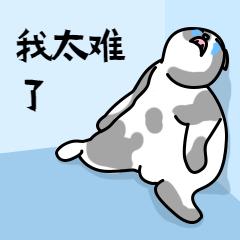 抖音帐号被封了？这儿有这份撤除手册！(图6)