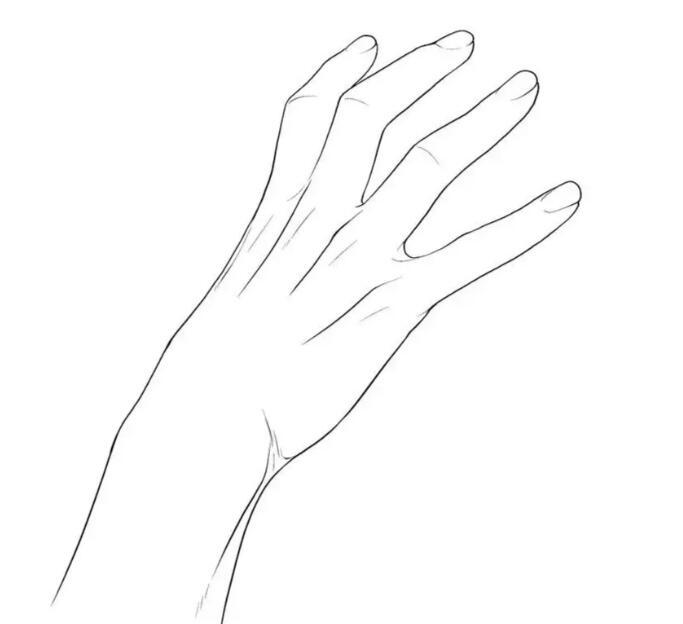 板绘绘画教程临摹手的基本画法