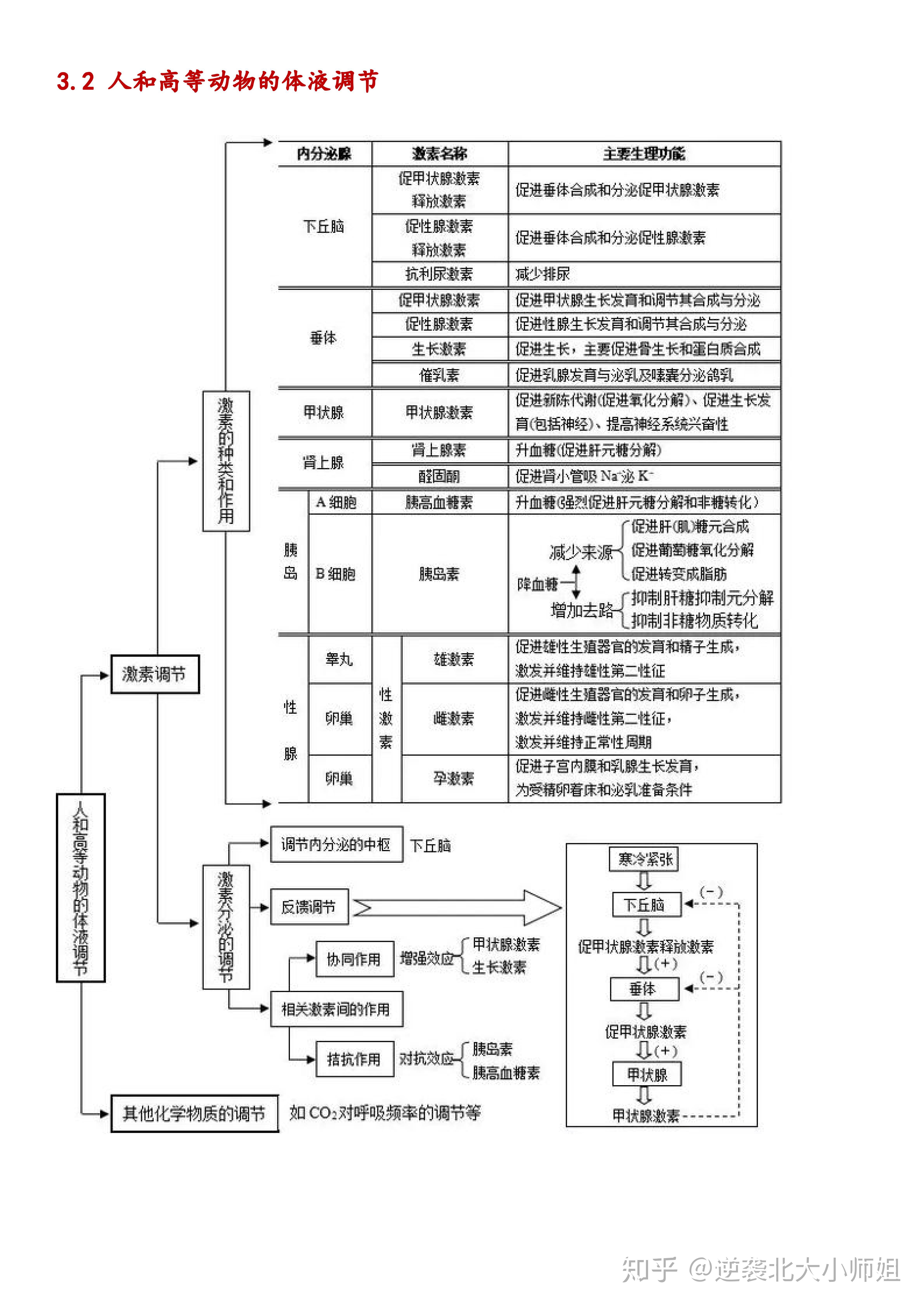 有利于帮助同学们建立系统化的知识结构,提高大家在生物学习上的效率