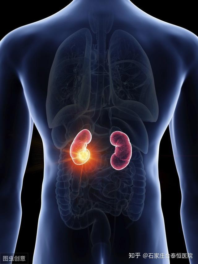 肾病能否彻底根治抓住1时机做好3控制非常关键