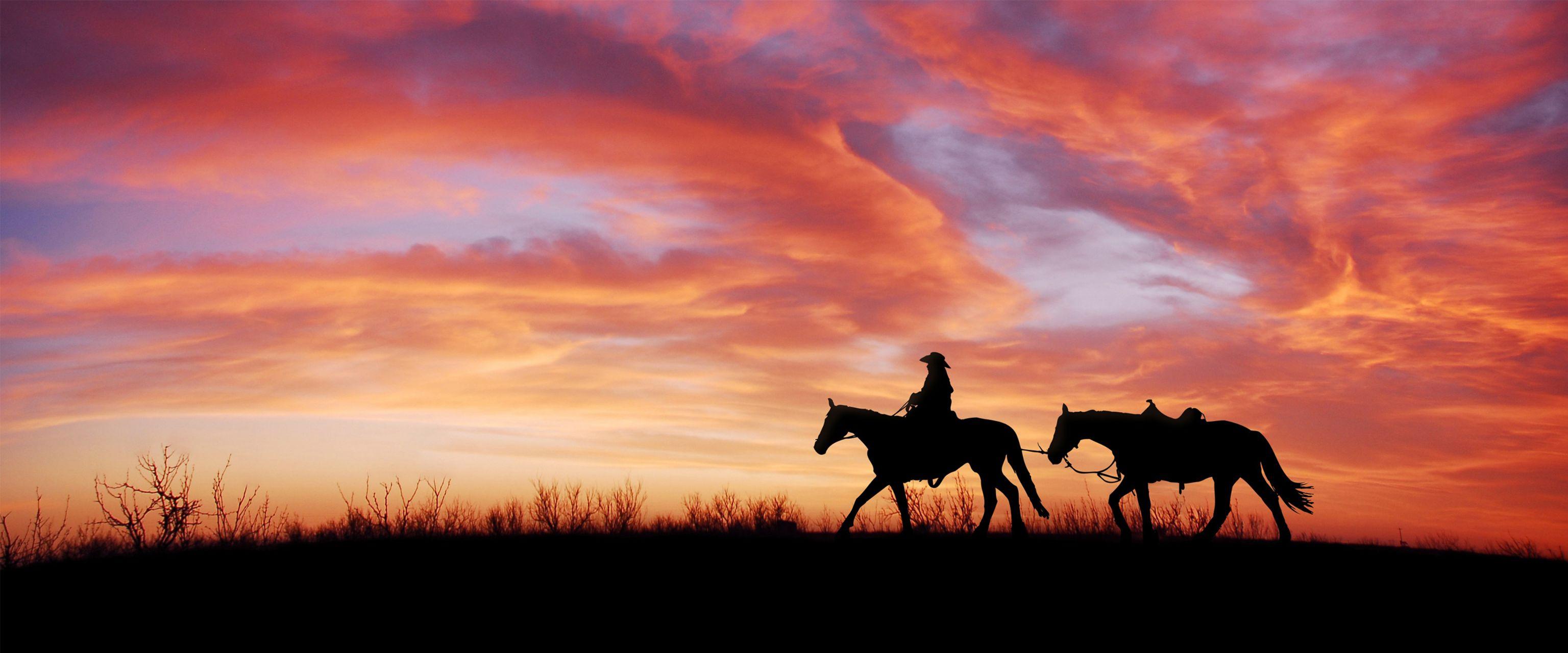 有没有好看的带鱼壁纸电脑宽屏的