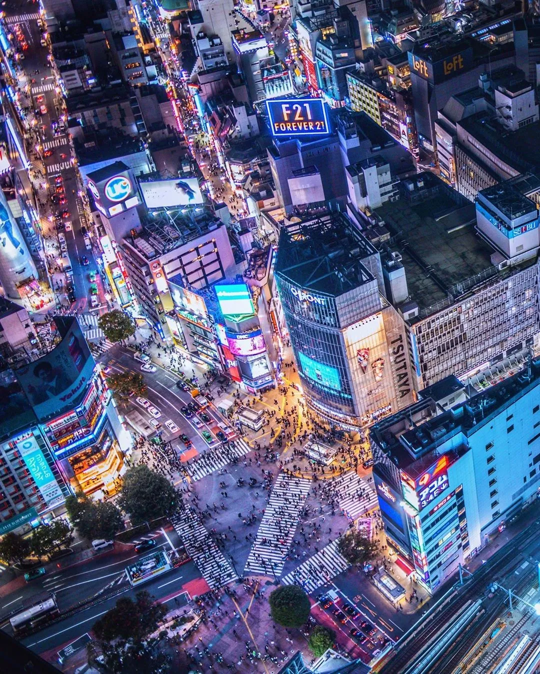 最新的涩谷第一高楼景观台，刷屏了！ - 知乎