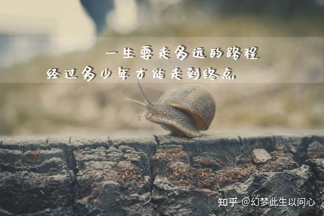 人的一生需要保持什么样的人生态度？ - 知乎