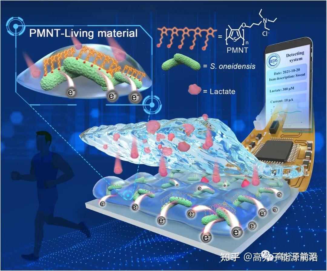 《Science Advances》导电聚合物基活体材料制造柔性生物电子器件 - 知乎