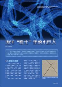 图标