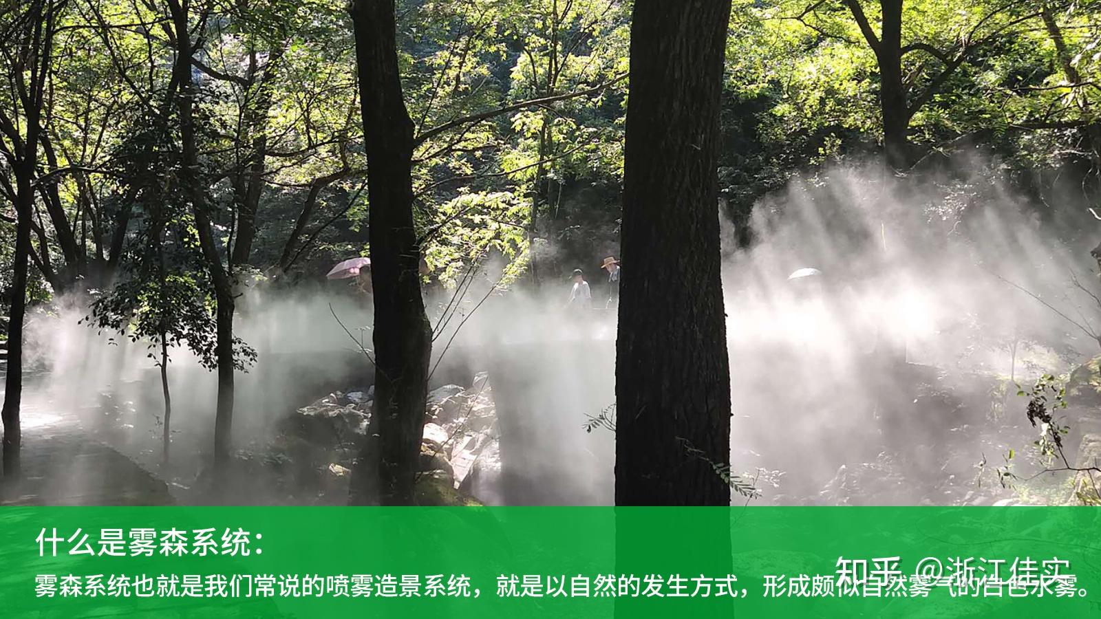 什么是雾森系统,它有哪些作用? - 知乎