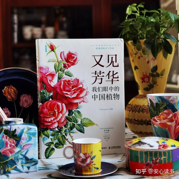 残荷留疏影,谢幕亦芳华,缤纷的植物之美 知乎