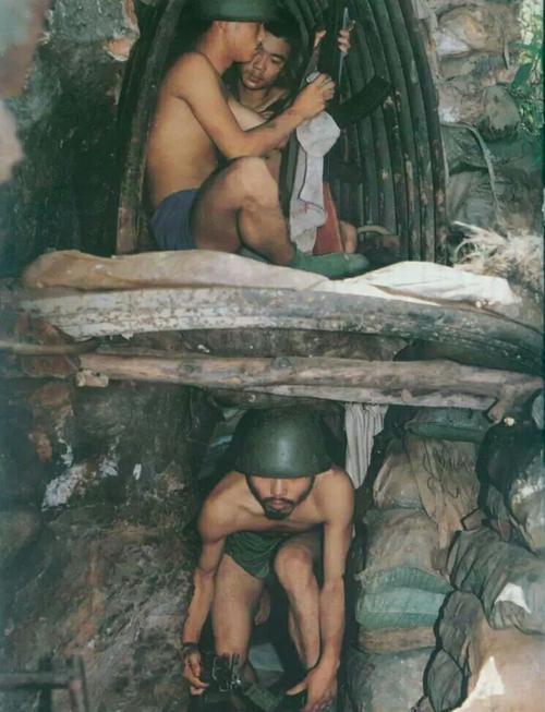 老山战场比越军还可怕的敌人硕鼠巨蟒令战士心有余悸