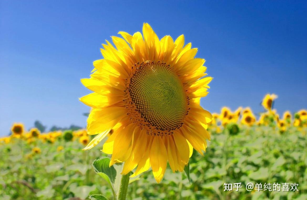 有没有满满正能量的励志文案