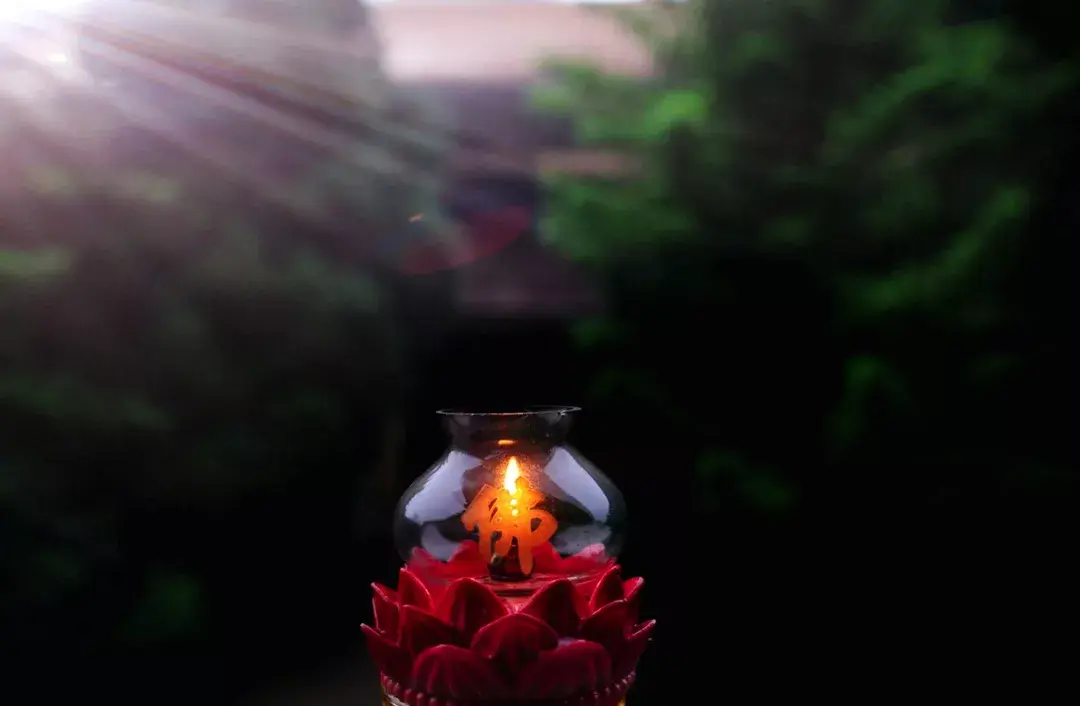 在青城山,峨眉山,庐山有共同有一种奇特的自然现象一佛灯或称圣灯