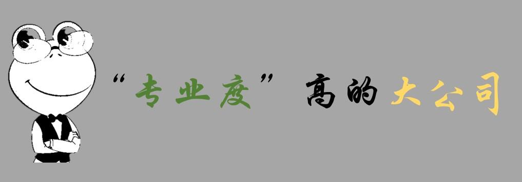 择业-要去大公司,也要"专业度"