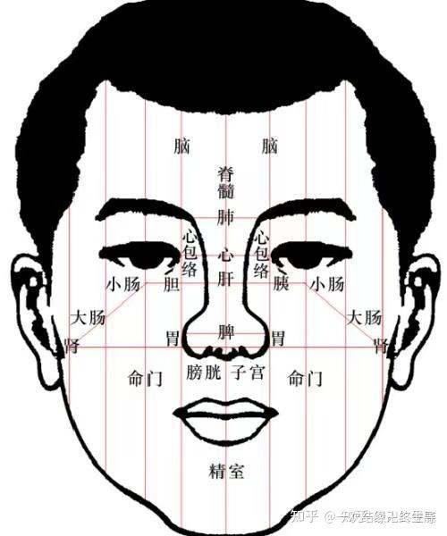 察颜观色两步骤：远观、近察 - 知乎