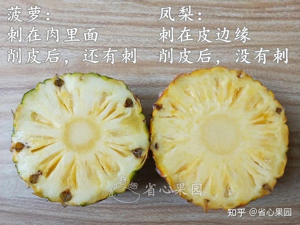凤梨,菠萝有很多品种:金钻凤梨,奶油凤梨,甜蜜蜜凤梨,手撕菠萝,香水