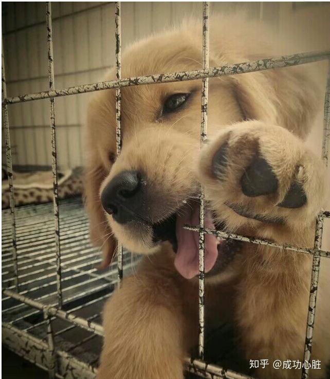 适合年轻人做的兼职副业,上班族周末做什么兼职