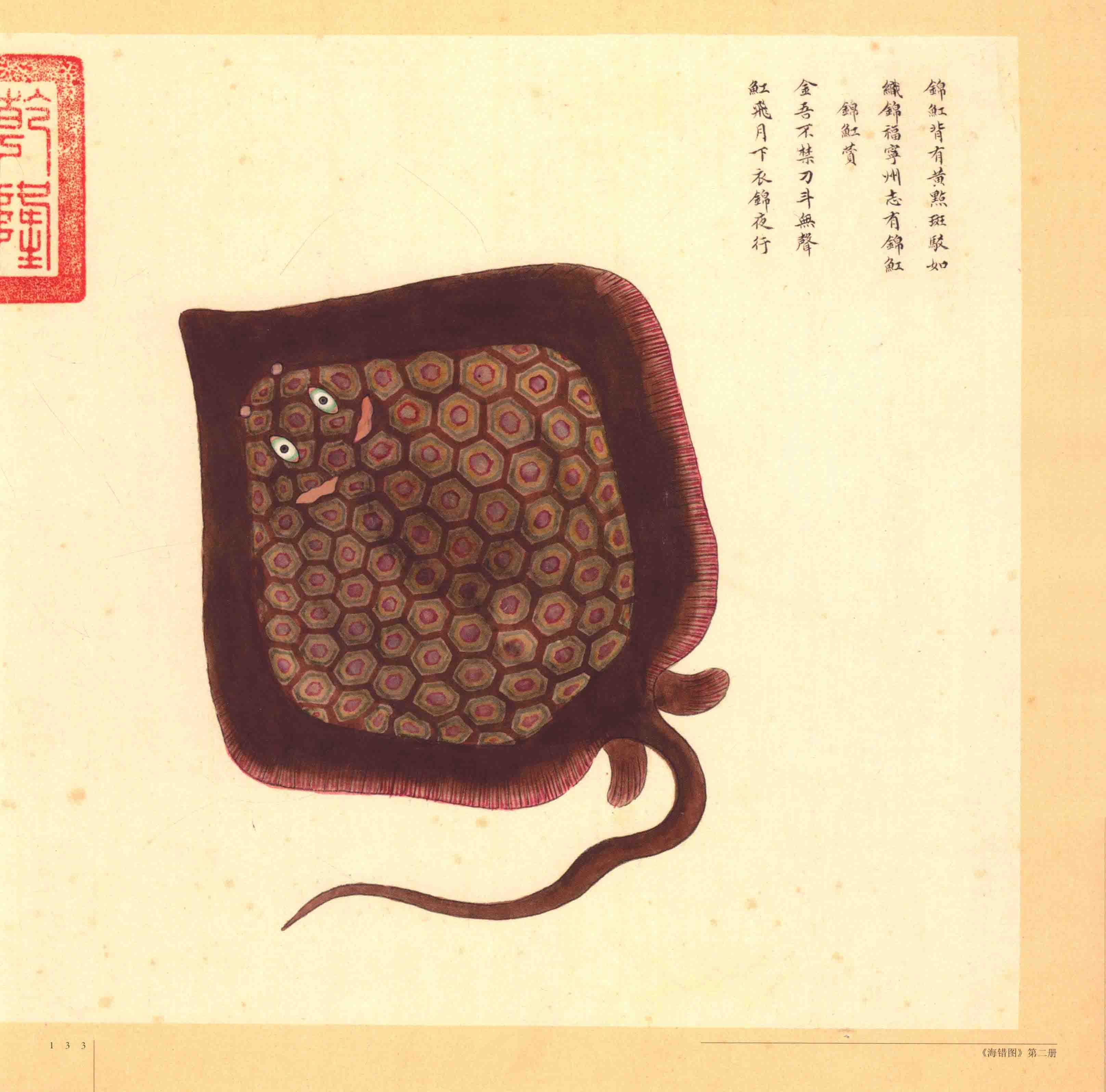 故宫博物院藏《清宫海错图·册二·鳞类、毛类和裸类》:古画与实物对照图 - 知乎