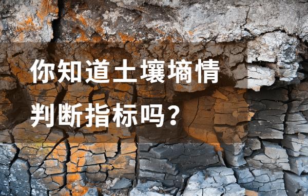 v2-10b1641d3f1ed6b4c13f0bcea72e1f37_1440w.jpg?source=172ae18b