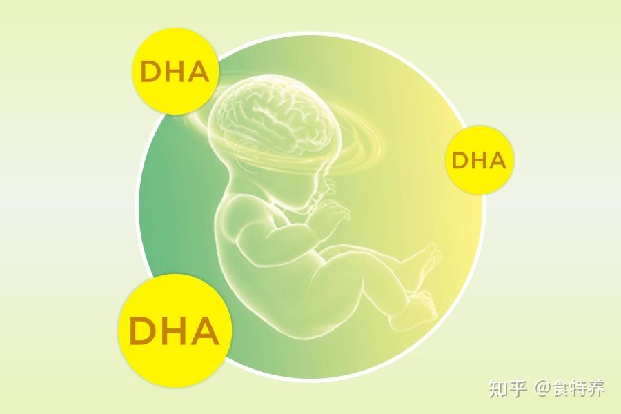 dha孕妇有必要吃吗(dha孕妇有必要吃吗已经快七个月了)-第2张图片-鲸幼网