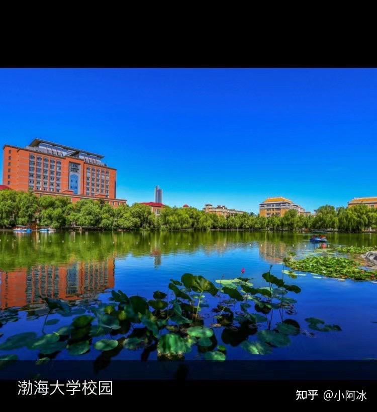 服务育人助力你的梦想导航定位已开启渤海大学继续教育学院
