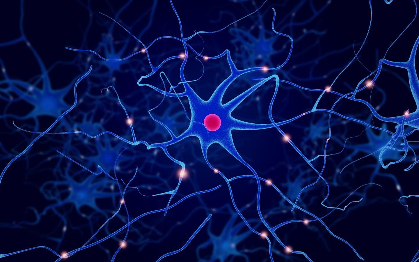 科学网—[每日一图|科普神经科学] (8) 神经细胞的好伙伴---神经胶质细胞 - 王铂的博文