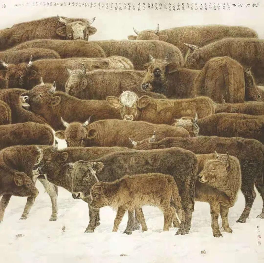 「津门网」牛年画牛 牛气冲天|常树森工笔牛作品20幅欣赏 - 知乎