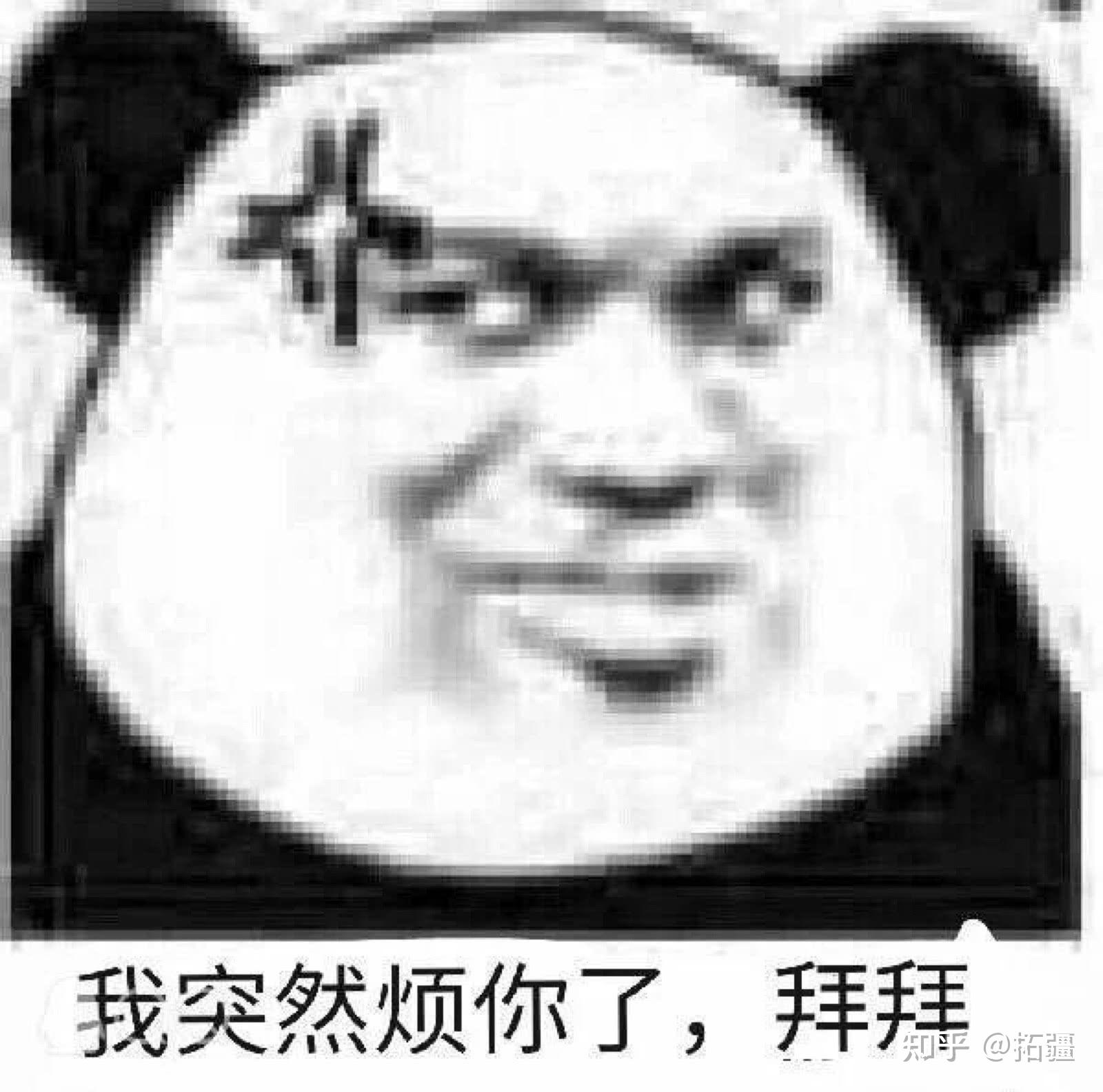v2-10c64e3924b7765521b56b9f728175d5_r.jpg