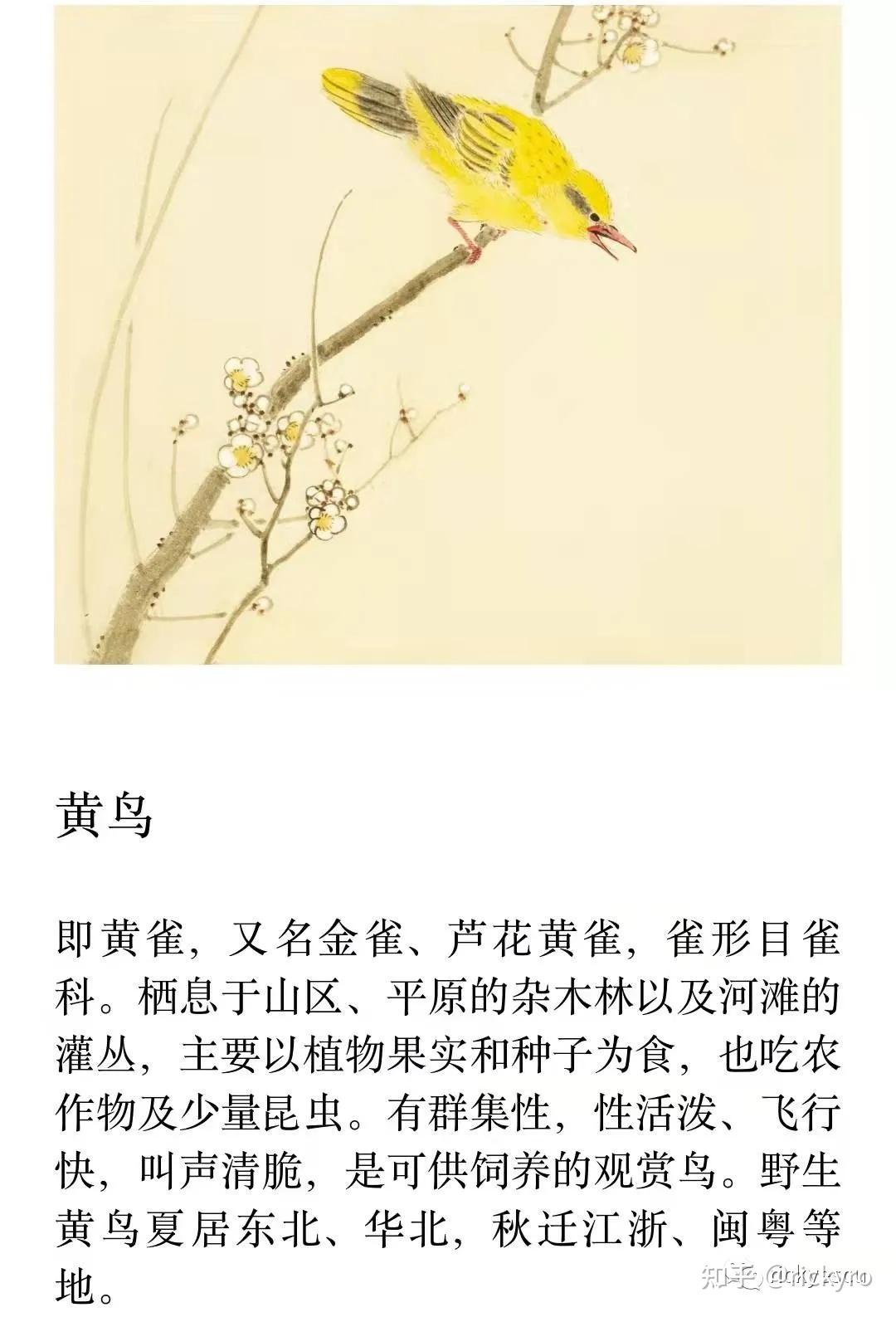 秦风*小戎(工笔描画秦大军征西戎,兼思夫)