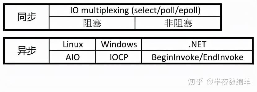 使用.io域名打造个性网站：创意与设计探讨 (使用域在哪)