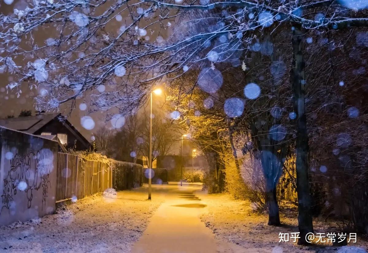 真实晚上路灯图片雪天图片