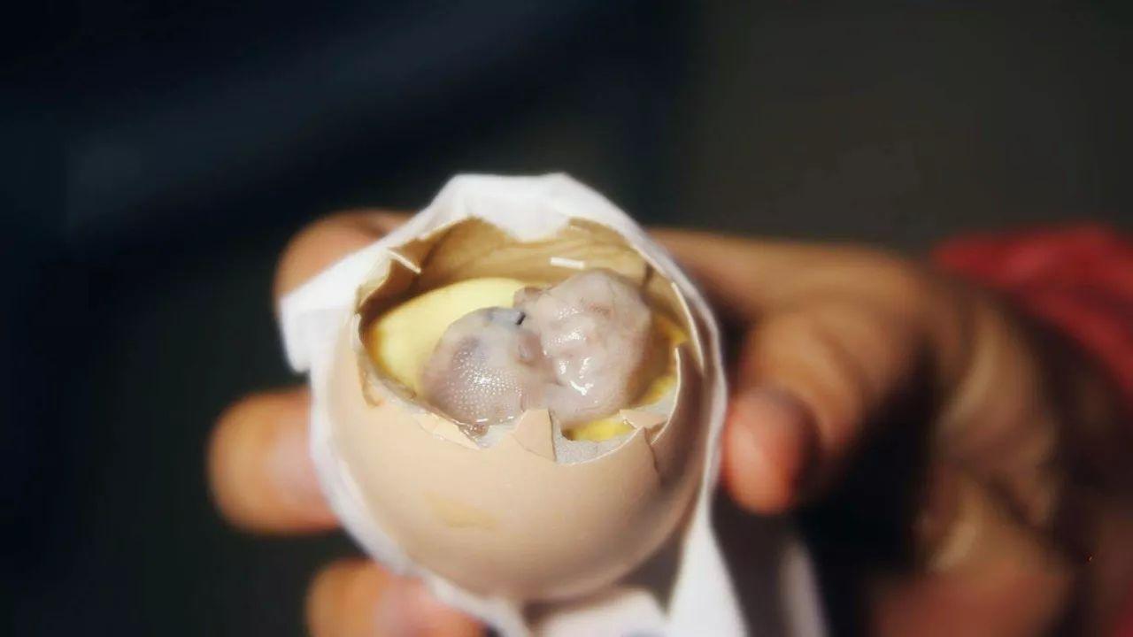 鸡仔胎让美女们连连喊腥又充满力量