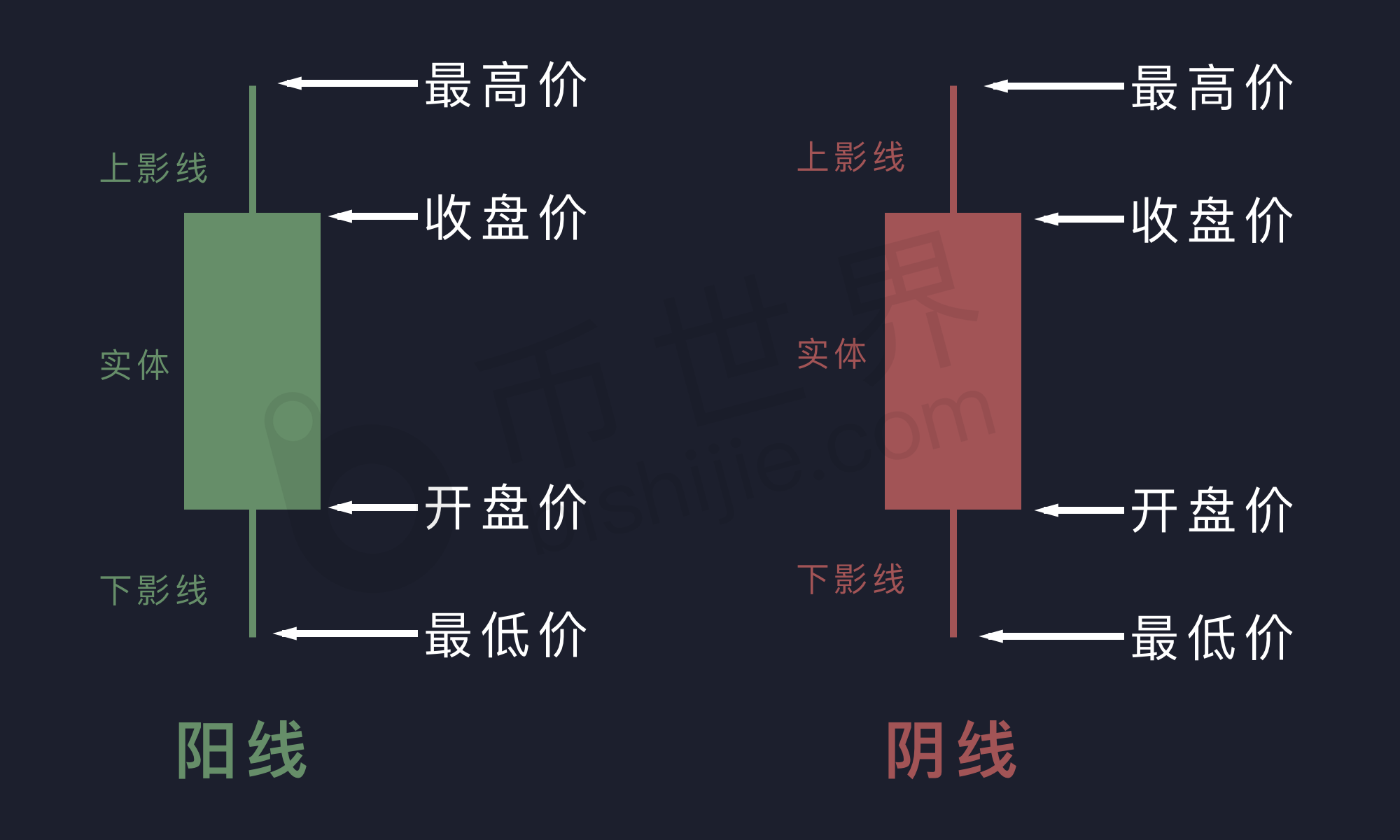 炒币基本知识(炒币需要知道哪些知识)